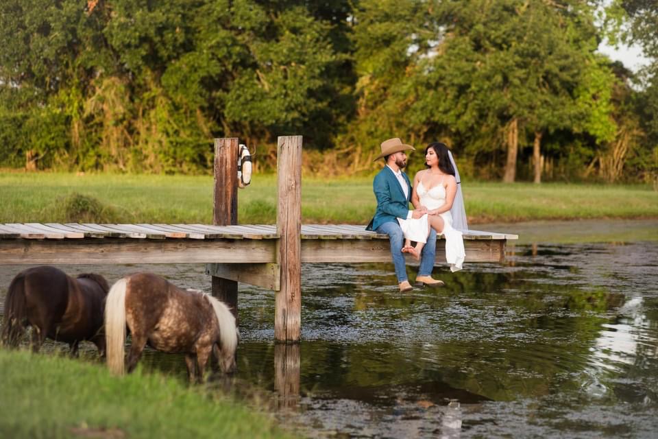 Photography at The Good Vibe Farm