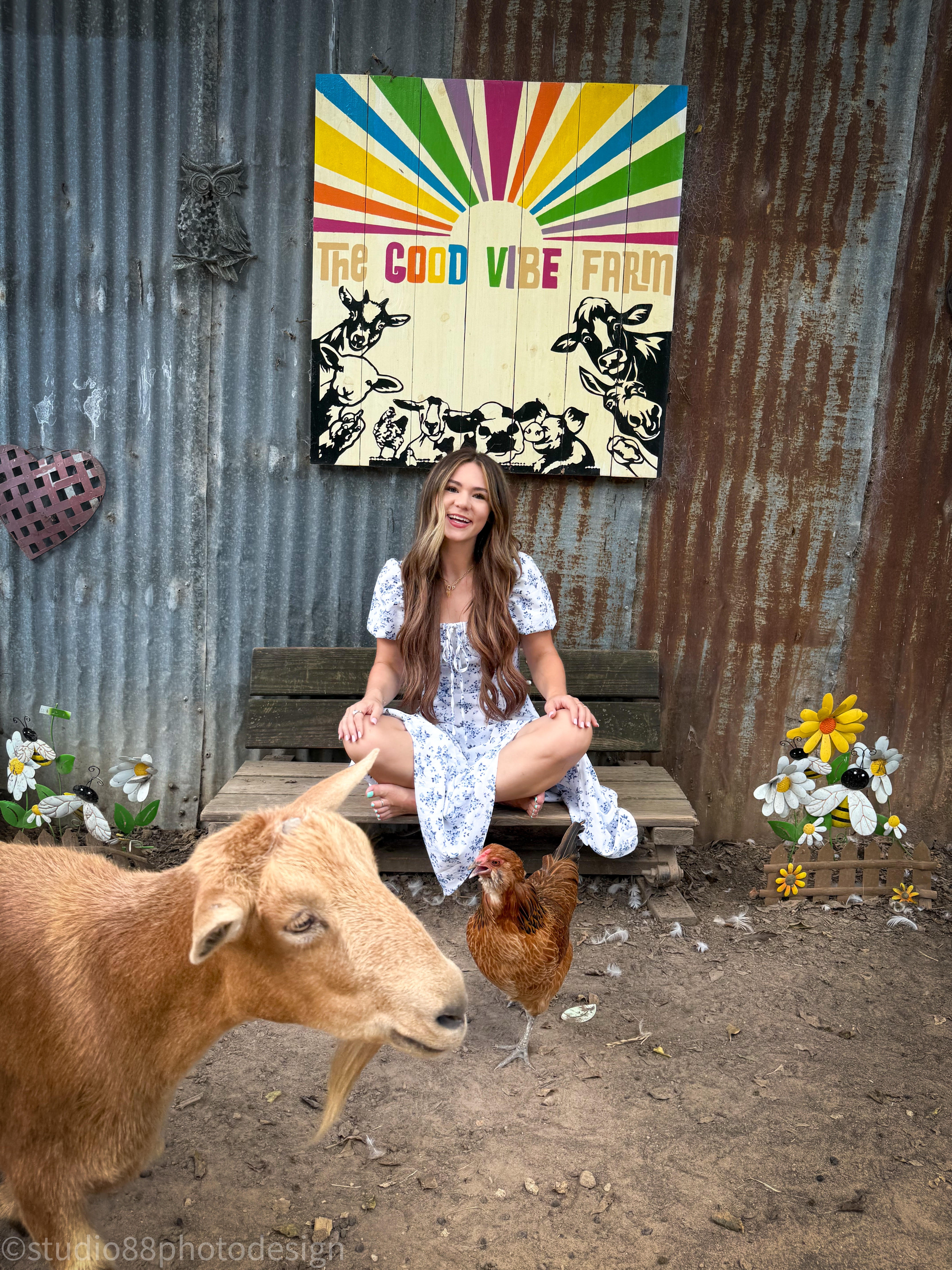 Photography at The Good Vibe Farm