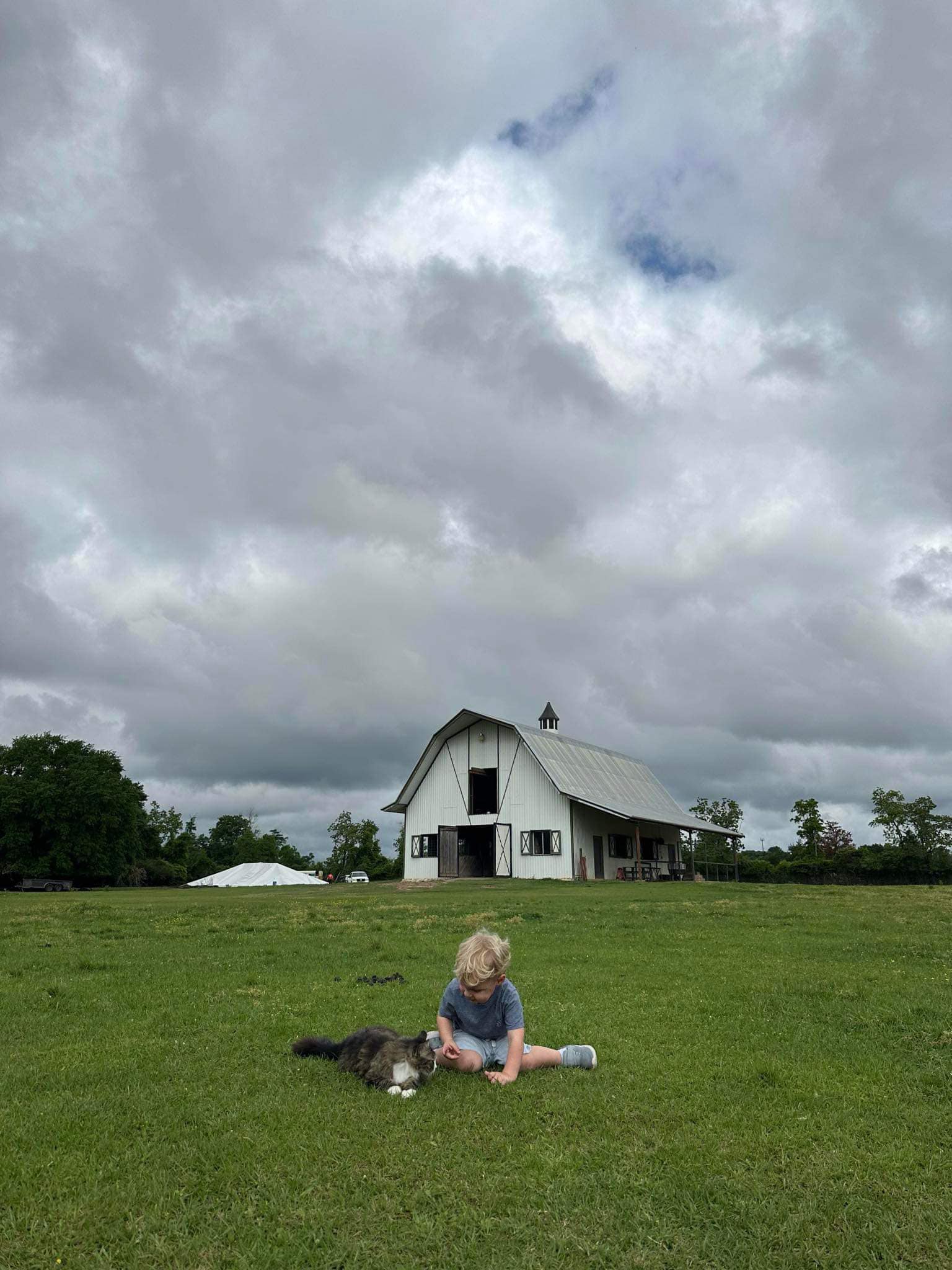 Photography at The Good Vibe Farm
